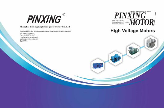Shanghai Pinxing Explosion Pive Motor Co., Ltd.